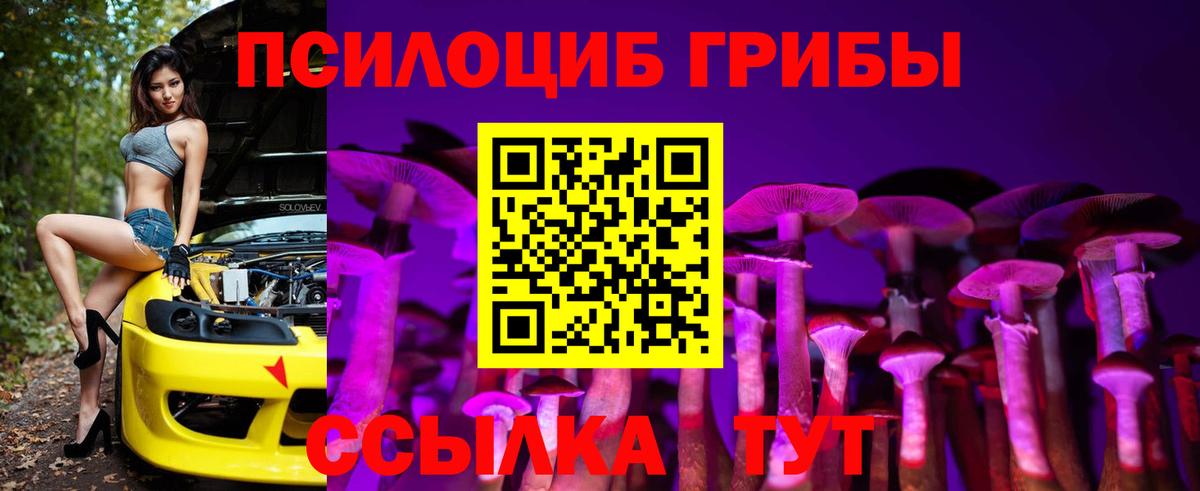 купить наркотик  Псилоцибиновые грибы Psilocybe  Вход с VPN  Подольск 